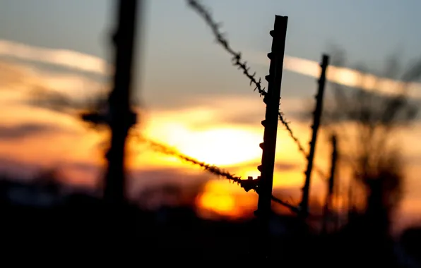 Picture macro, sunset, background, widescreen, Wallpaper, black, the fence, rope