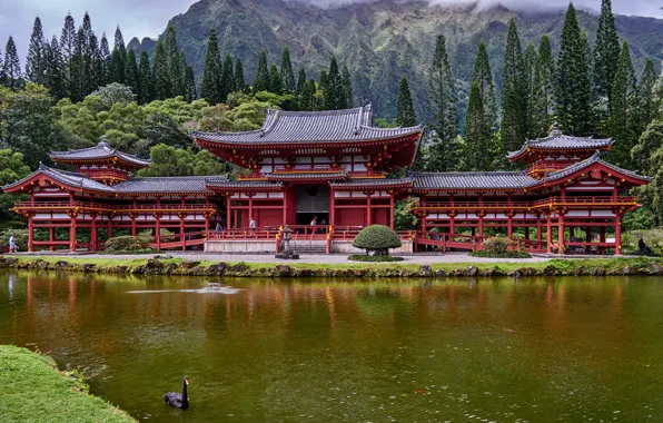 Forest, clouds, trees, mountains, river, rocks, Hawaii, temple