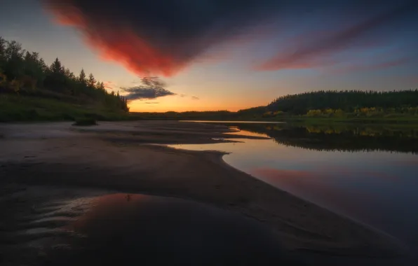Sunset, Water, Reflection, Beach, Forest, The crimson, Twilight, Bank