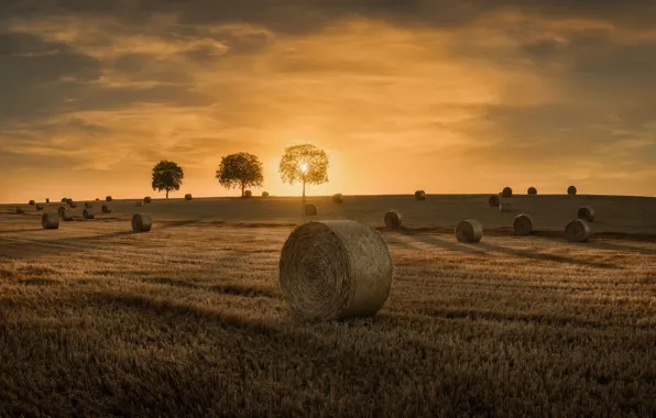 Field, the sky, trees, sunset, dal, space, hay, bales