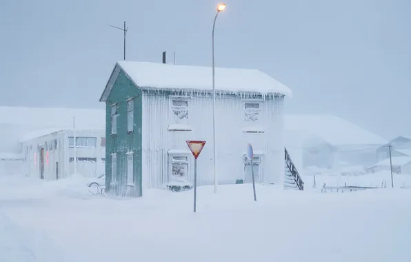 Winter, the city, sign, street