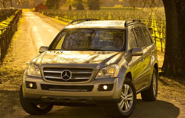 Road, Mercedes-Benz, jeep, SUV, Mercedes, the front, sunlight, GL-class