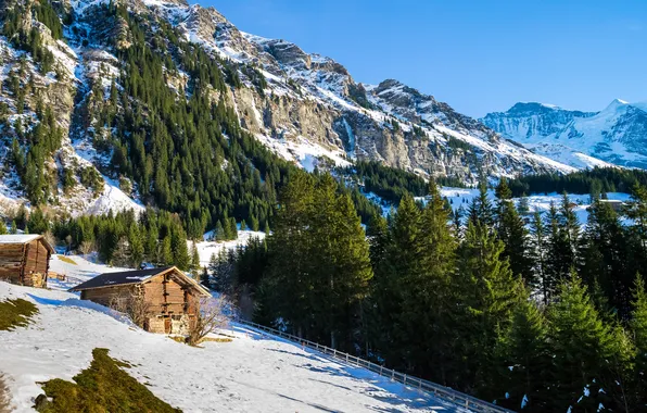 Winter, snow, trees, mountains, rocks, Switzerland, slope, Alps
