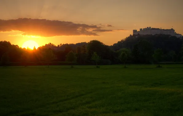 Picture greens, grass, the sun, trees, sunset, Park, castle, lawn