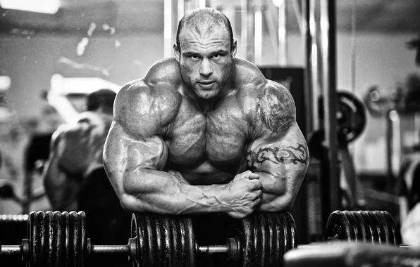 Picture muscles, bodybuilder, morgan aste, big rock