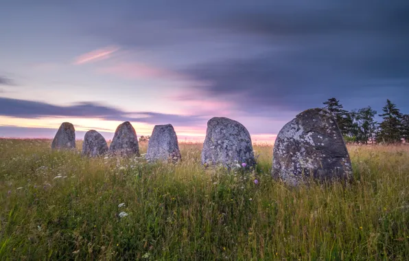 Field, summer, the sky, grass, clouds, stones, meadow, boulders