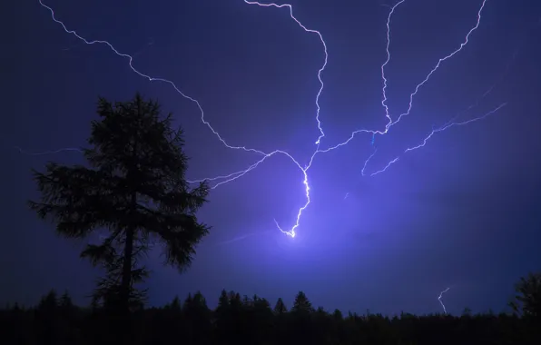 The storm, night, tree, lightning, category