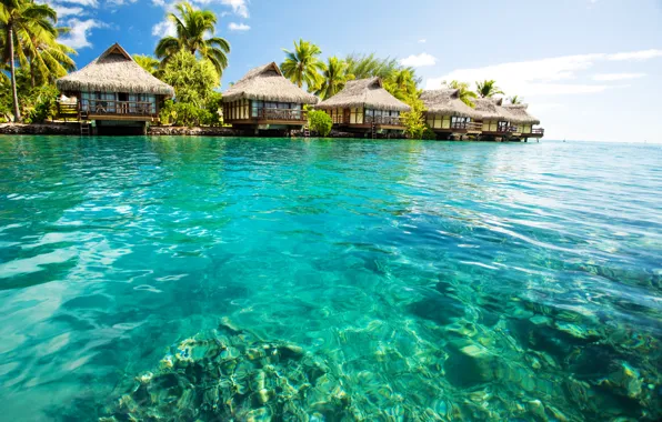 Tropics, the ocean, resort, Laguna, Bungalow, polynesia, bora-bora