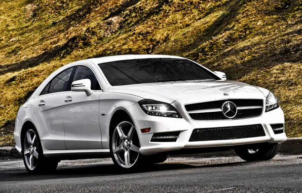 Picture white, hill, mercedes-benz, Mercedes, the front, amg, tsls, AMG