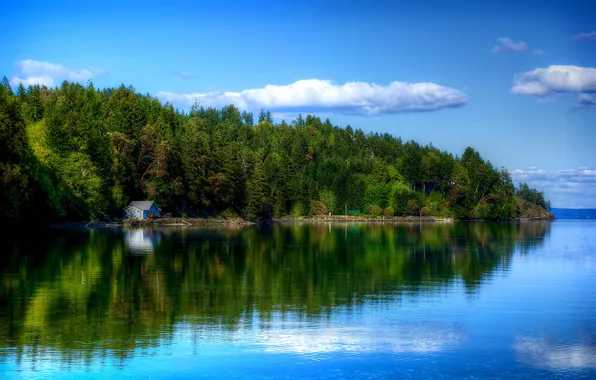 Forest, the sky, clouds, trees, reflection, river, shore, house