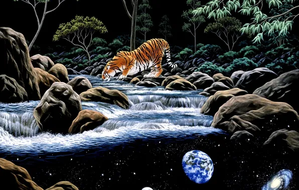 Picture planet, art, tigers, river, William Schimmel