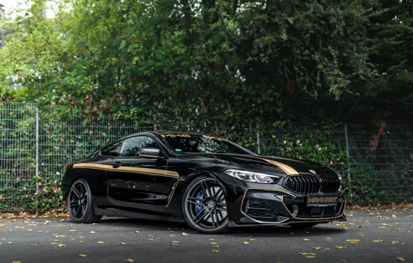 BMW, Manhart, 8-Series, 2019, G15, M850i, XDrive, MH8 600