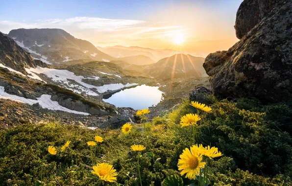 Picture the sun, rays, snow, landscape, flowers, mountains, nature, lake