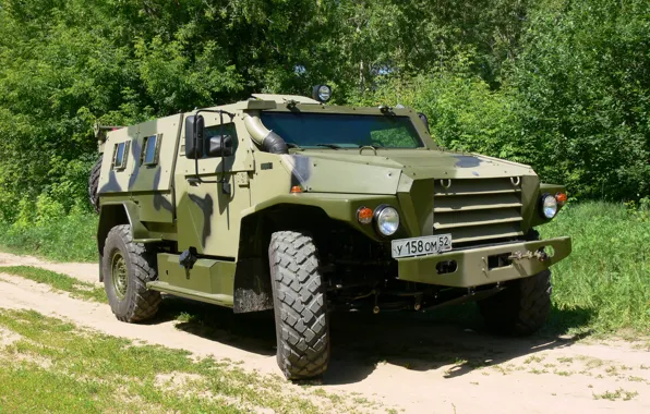Picture wolf, Russia, armored car, for infantry troops and special forces