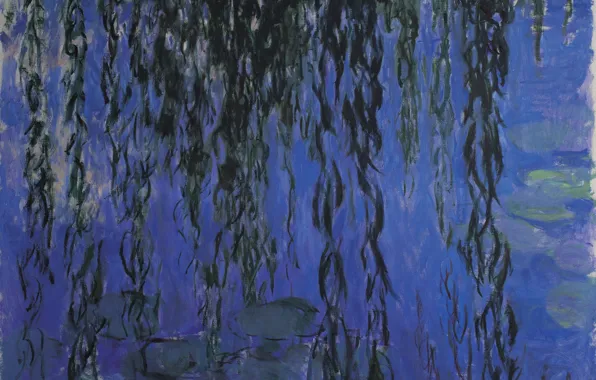 Picture Claude Monet, Water-Lilies, and Weeping Willow Branches