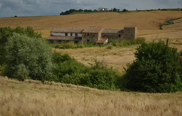 Picture Home, Italy, Field, Italy, Tuscany, Italia, Toscana, Tuscany