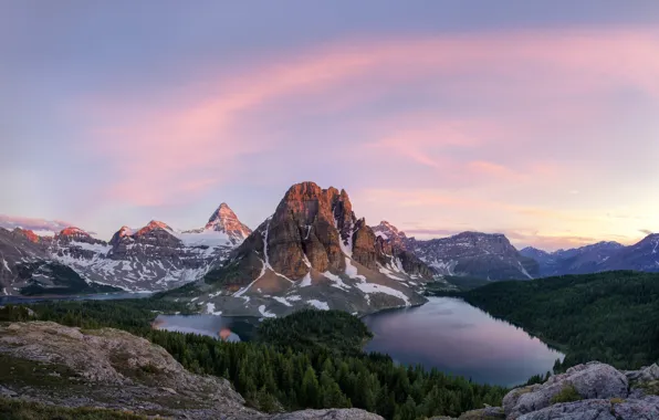 Picture forest, mountains, Canada, forest, lake, Mt Assiniboine