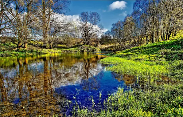 FOREST, GRASS, WATER, REFLECTION, TREES, RIVER, GREEN, DIRECTION