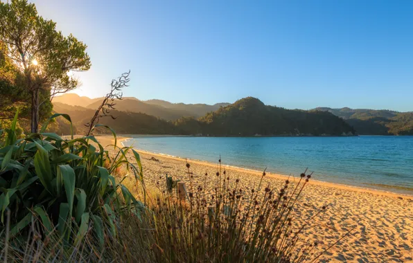 Sand, sea, beach, the sky, the sun, trees, mountains, dawn