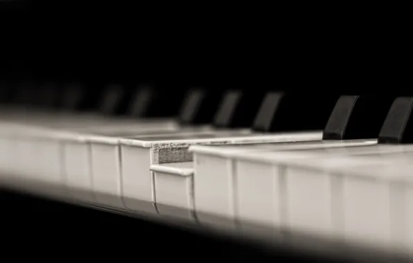 Macro, music, piano