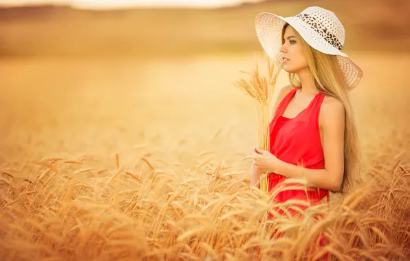 Field, girl, spikelets, hat, in red