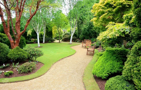 Trees, Park, lawn, garden, chairs