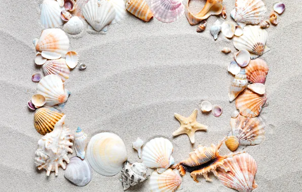 Sand, beach, frame, shell, sand, starfish, seashells