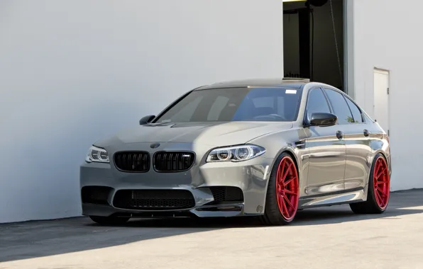 BMW, Gray, F10