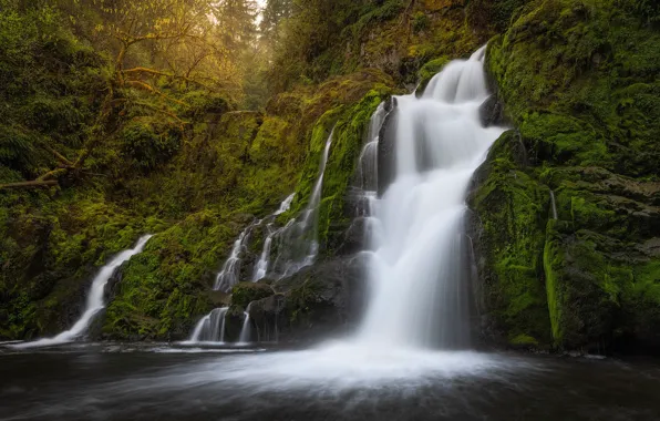 Forest, rock, river, waterfall, moss, cascade, Columbia River Gorge, Washington State
