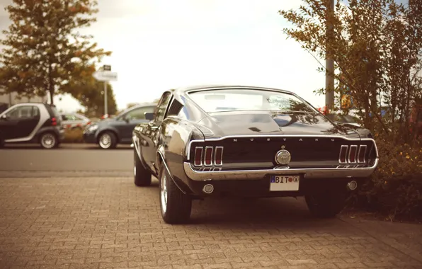 Picture car, mustang, Mustang, ford, Ford, muscle