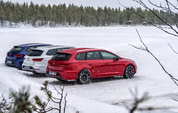 Snow, branches, Parking, Seat, 2017, Leon Cupra ST, station wagons