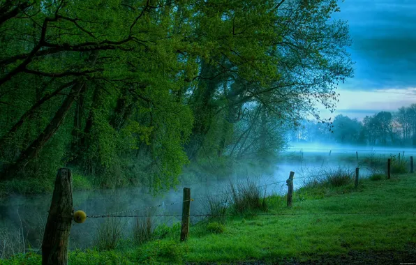 Fog, River, Morning, Meadow