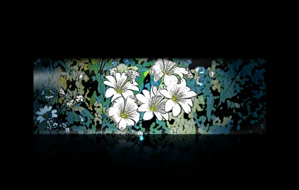 Picture flowers, the dark background, pattern, minimalism