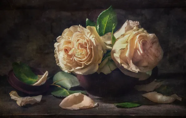 Leaves, roses, petals, Sepia, Duo, Vladimir Volodin