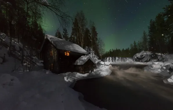 Winter, forest, stars, night, branches, lake, house, shore