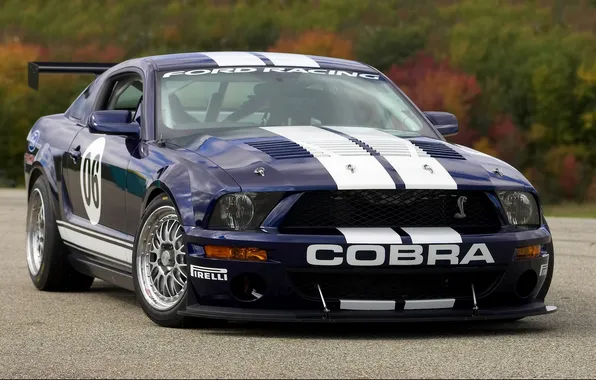 Mustang, Mustang, cars, Cobra, ford, Ford, cars, cobra