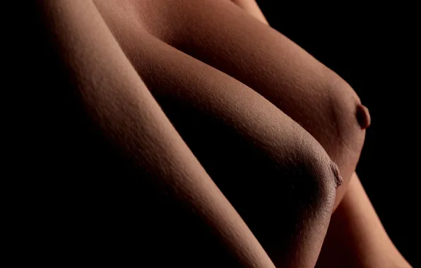 Macro, background, breast