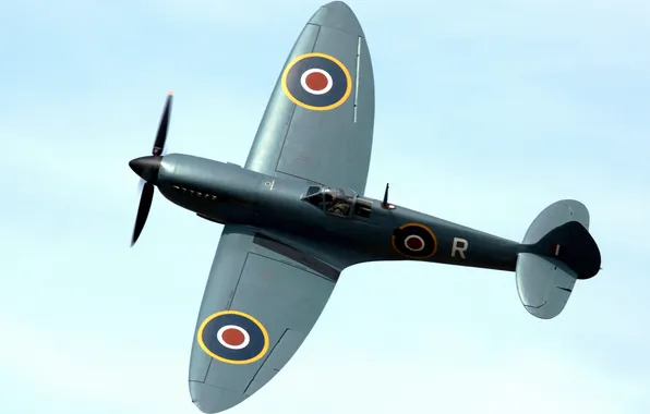 The sky, flight, retro, fighter, pilot, parade, the plane