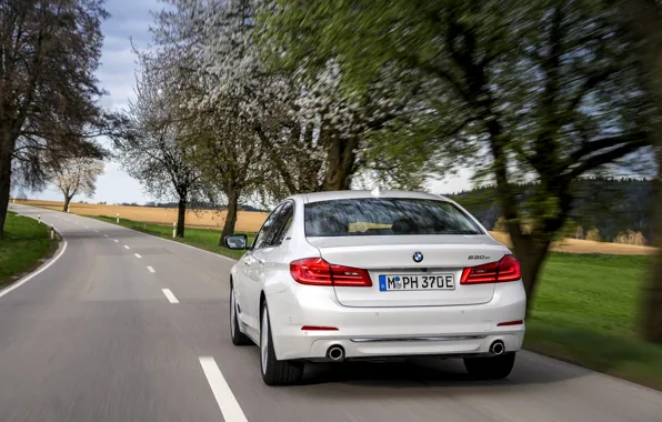 White, trees, BMW, sedan, rear view, hybrid, 5, four-door