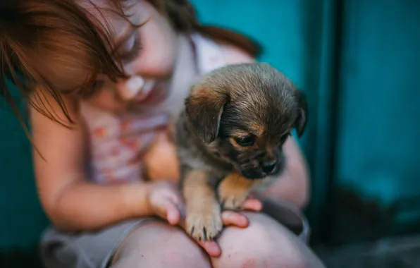 Picture baby, girl, puppy, friends, doggie, Darya Shevchenko
