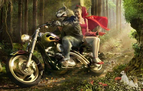 Picture wolf, little red riding hood, motorcycle