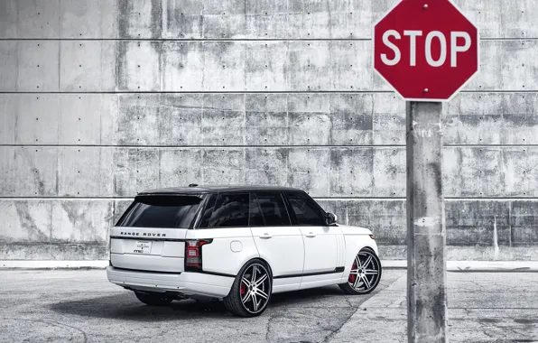 White, white, rear view, land rover, range rover, range Rover, land Rover, black roof