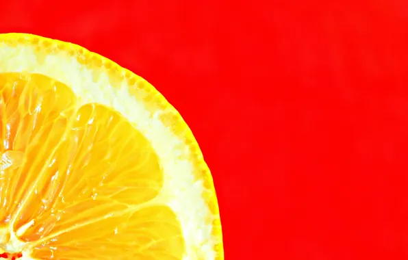 Macro, lemon, minimalism, slice, red background