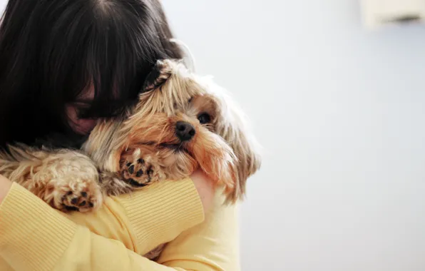 Face, girl, background, widescreen, Wallpaper, mood, dog, brunette