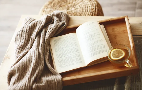 Picture comfort, lemon, tea, Cup, book, sweater, tray
