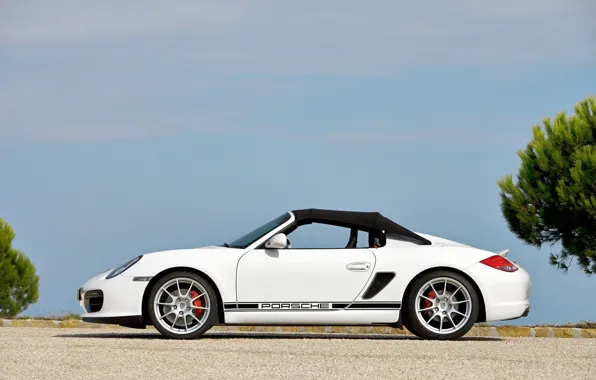 Picture Porsche, 2010, Boxster, Spyder