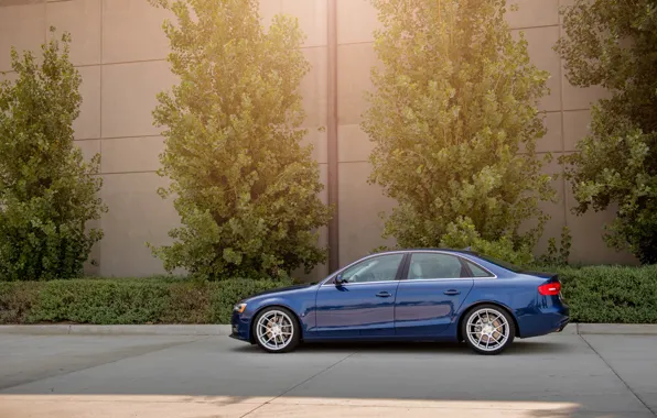 Picture Audi, Audi, profile, blue, blue