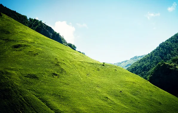 Greens, grass, trees, hills, slope
