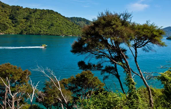 Picture nature, photo, South Island, river New Zealand