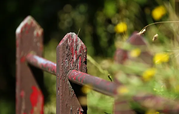 Macro, background, the fence
